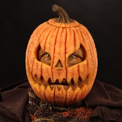 Jill Immortal Face - Female Fit