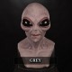 Communion Silicone Mask