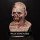 Zombie Silicone Mask