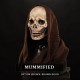 Widow Immortal Face - Female Fit