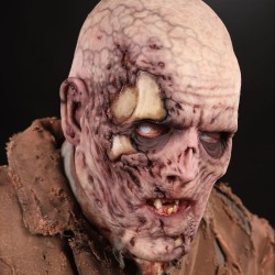 Decayed Silicone Half Mask