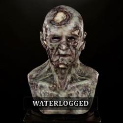 IN STOCK - Undead Waterlogged