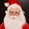 Santa Silicone Half Mask