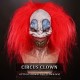 Demented Silicone Mask