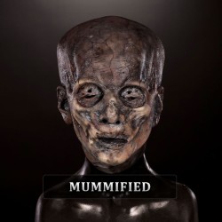 IN STOCK - Departed Mummified Female Fit
