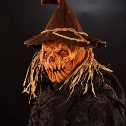 Pumpkin Silicone Face