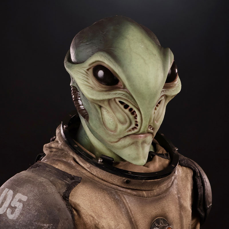 Visitor Silicone Mask