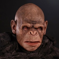 Ape Silicone Mask