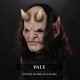 Fallen Immortal Face