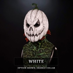 IN STOCK - Autumn White with Orange collar Female Fit 
