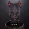 IN STOCK - Cat Black