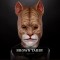 IN STOCK - Cat Brown Tabby