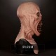 Haunted Silicone Mask