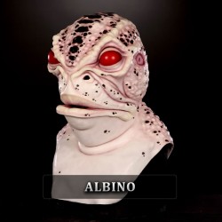 IN STOCK - Toad Albino 