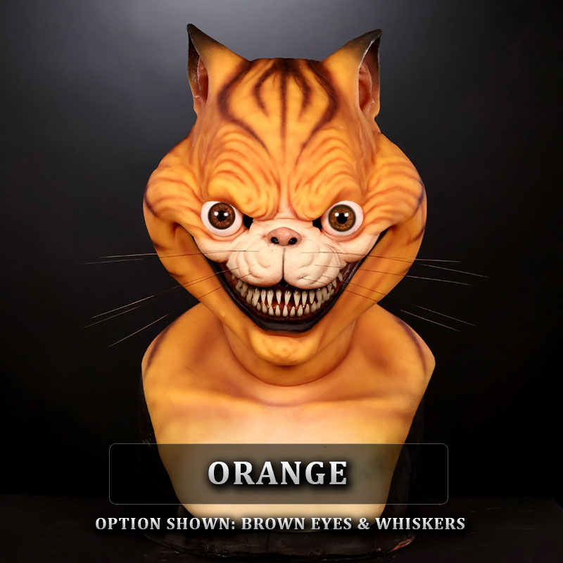 IN STOCK - Cheshire Orange with Brown eyes and whiskers