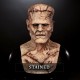 Re-Animated Silicone Mask