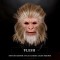 IN STOCK - Simian Flesh Fully Haired Light Brown