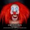 IN STOCK - Dimples Circus Clown with Hair and Glued Nose