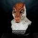 Gator Silicone Mask