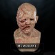 Afflicted Silicone Mask