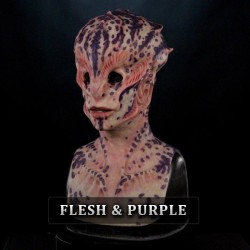 IN STOCK - Ambassador Flesh and Purple Female Fit