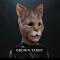 IN STOCK - Kitty Brown Tabby Female Fit