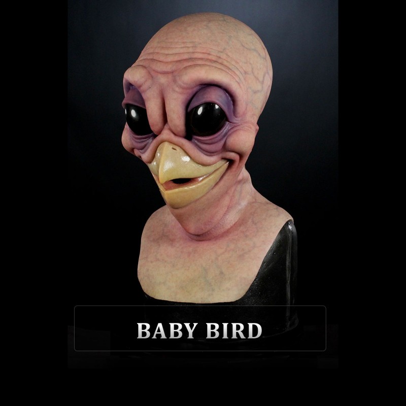 IN STOCK - Bird brain Baby Bird