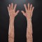 Elderly Human Sleeves - Smaller Fit