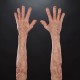 Elderly Human Sleeves - Smaller Fit Elderly Human Sleeves - Smaller Fit