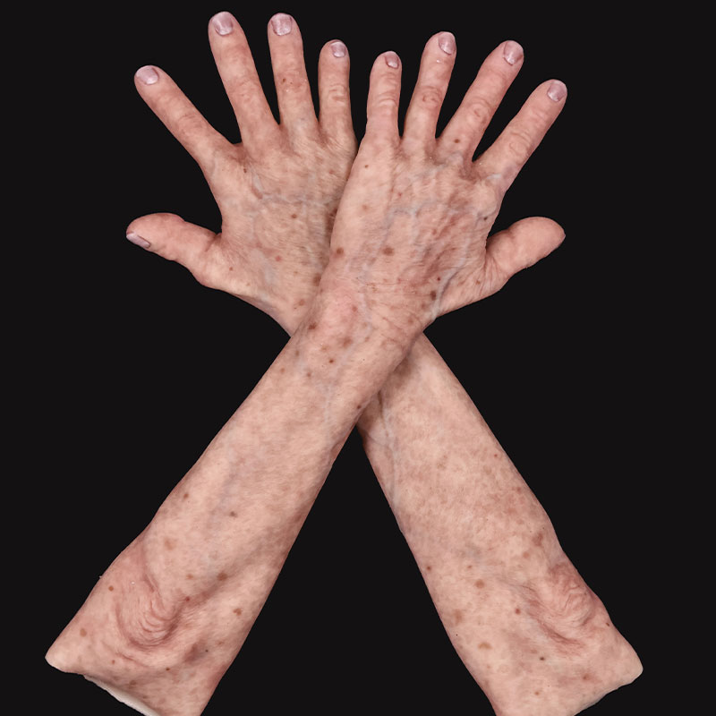 In Stock - Elderly Human Sleeves - Smaller Fit In Stock - Elderly Human Sleeves - Smaller Fit