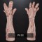 IN STOCK - Mutant Sleeves Pale