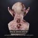 Revenant Silicone Mask