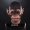 IN STOCK - Simian Brown