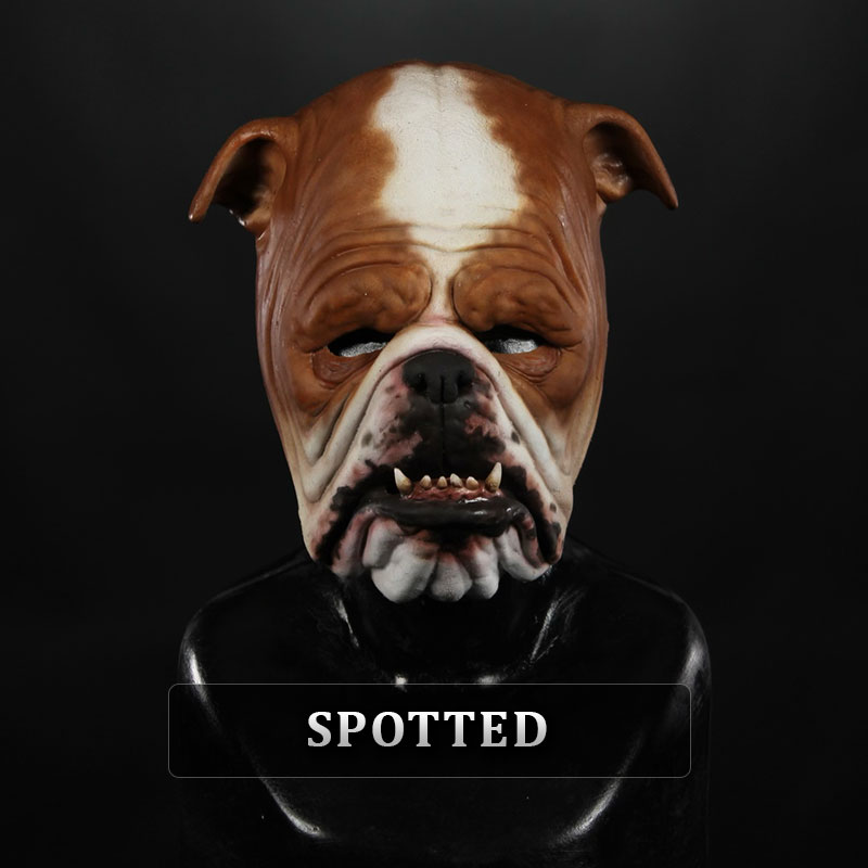 IN STOCK - Bulldog Brown Spotted