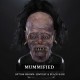 Shrunken Head Silicone Half Mask