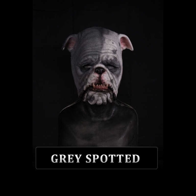 IN STOCK - Bulldog Grey Spotted
