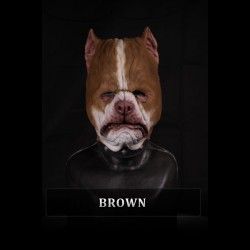 IN STOCK - Pitbull Brown