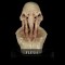 IN STOCK - Cthulhu Flesh