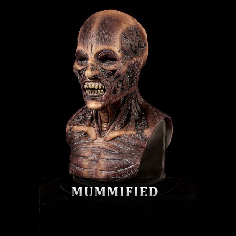 IN STOCK - Skinned Mummified