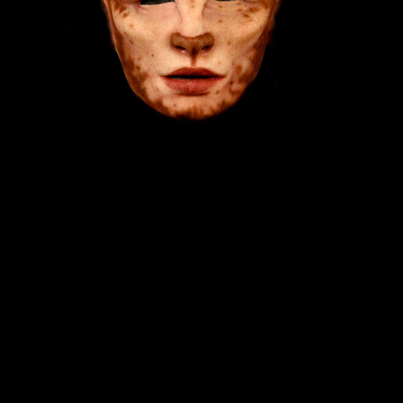 FaunCloth Face Mask