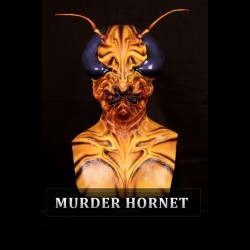 IN STOCK - Queen murder hornet Female Fit