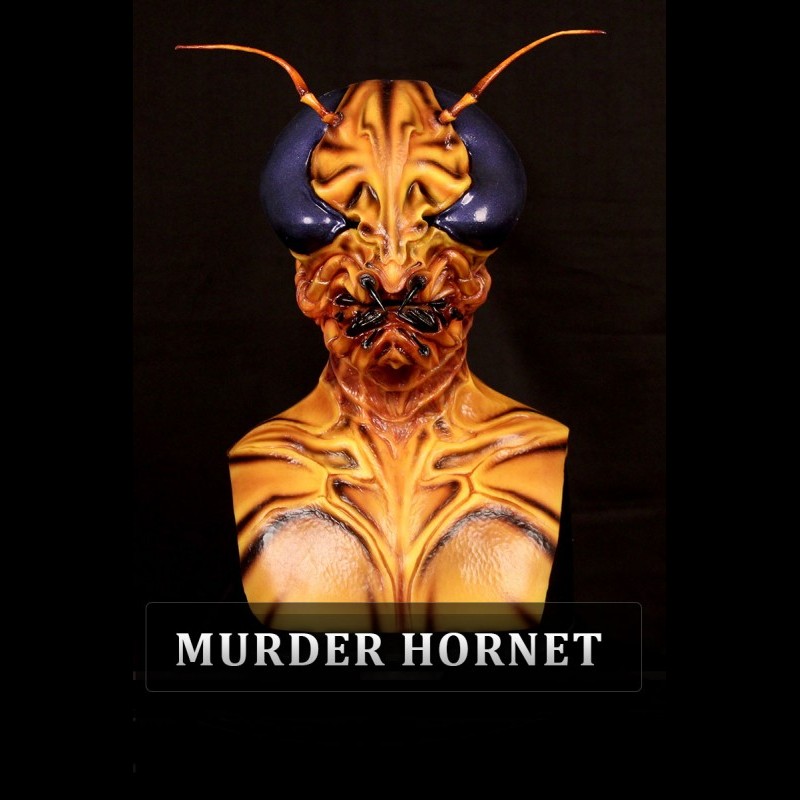 IN STOCK - Queen murder hornet Female Fit