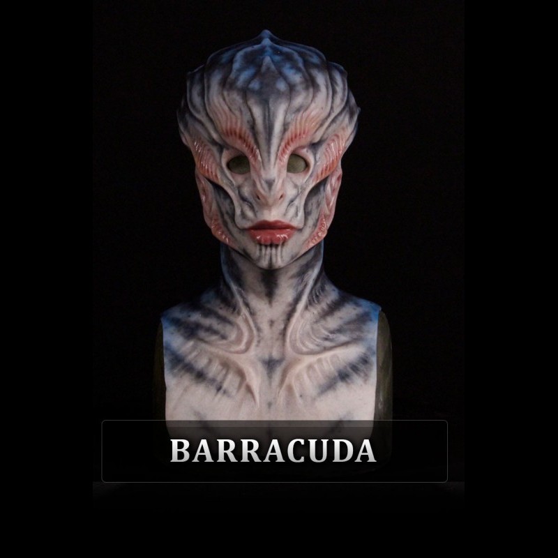 IN STOCK - Ambassador Barracuda Female Fit