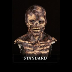 Mummified Silicone Mask