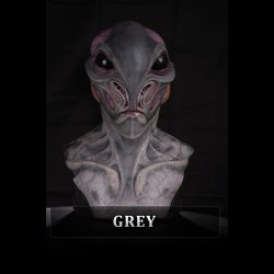 Visitor Silicone Mask